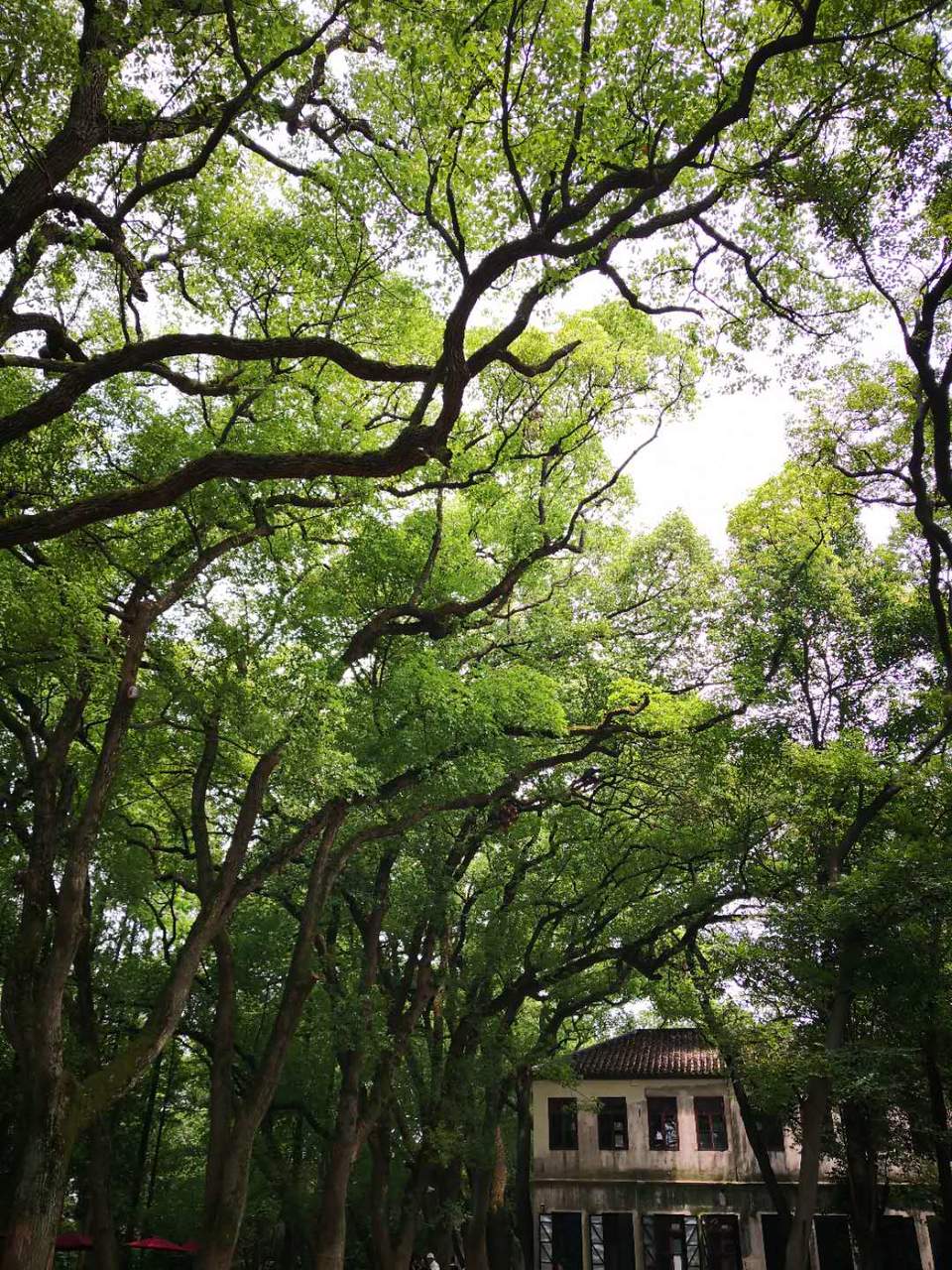 4XmRJ7wcVrYz5dt_V2cojrnEw_mRyMwa9eGf1EDyE3JZq-_hMJ9Uo9Y8uu2dMYpK