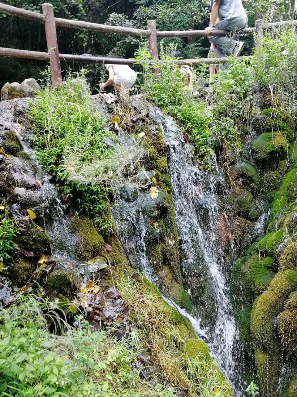 K4PwbBLZWlJTZ0sZ_lLOR2VQOUt5hOgCDfT3IbM_YY5W7JJ9ZY7eXbBGNV_DC-XR