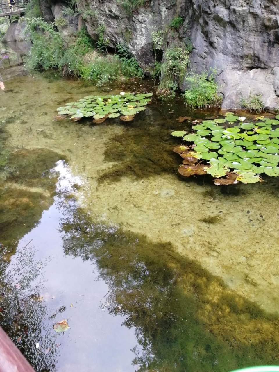 IfI91_d5rp-UZXZMXqbpEeITDwgWJ9Ti6y9WNxEcfj0E9OTtoEqySpSJqdhccjT_