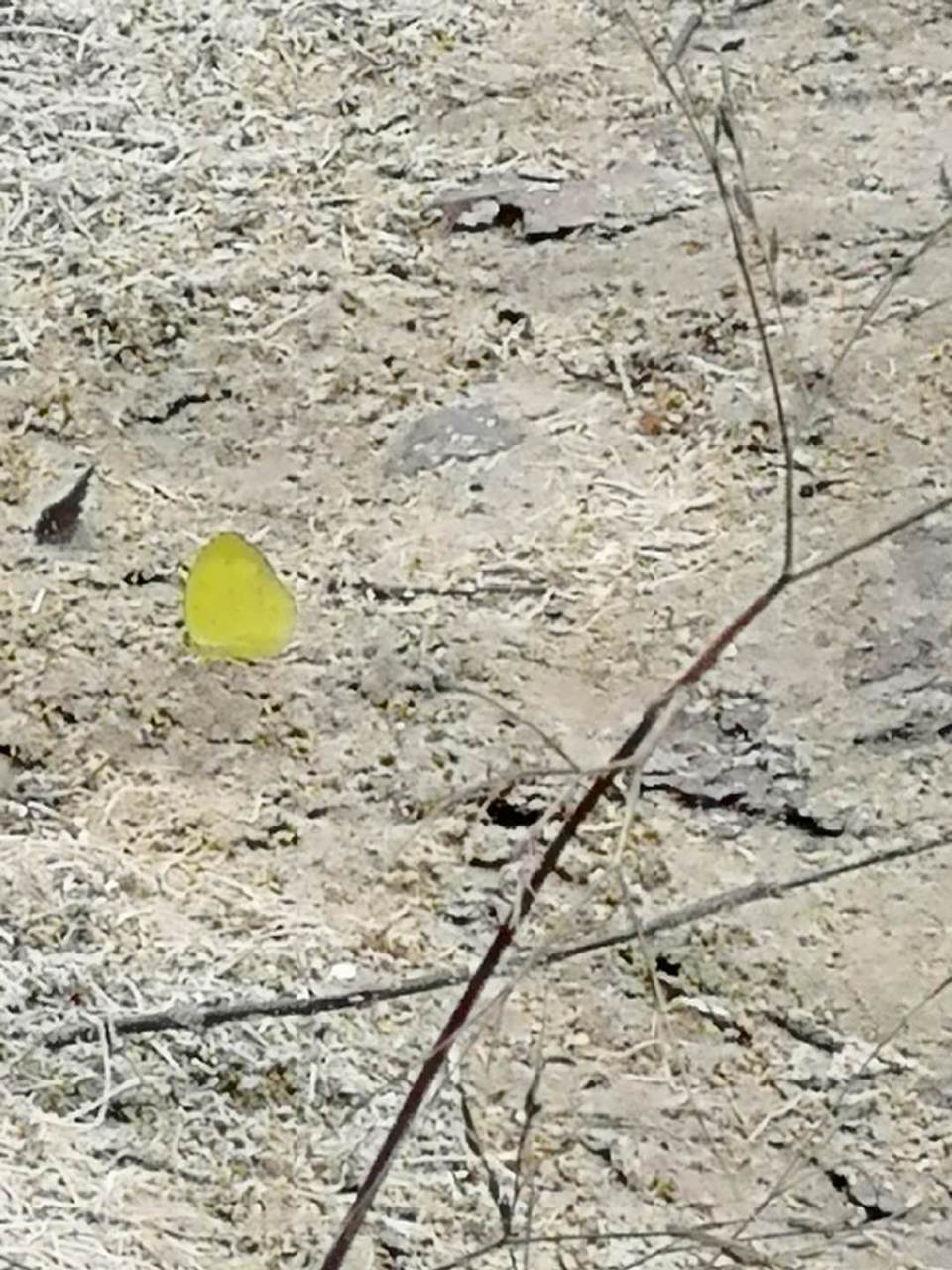 NGdseEd3SxwzZHX_wvFHdr3vZdRpop4rY_mfme878gGHUQGkBpMwwLm_M5XYBpus