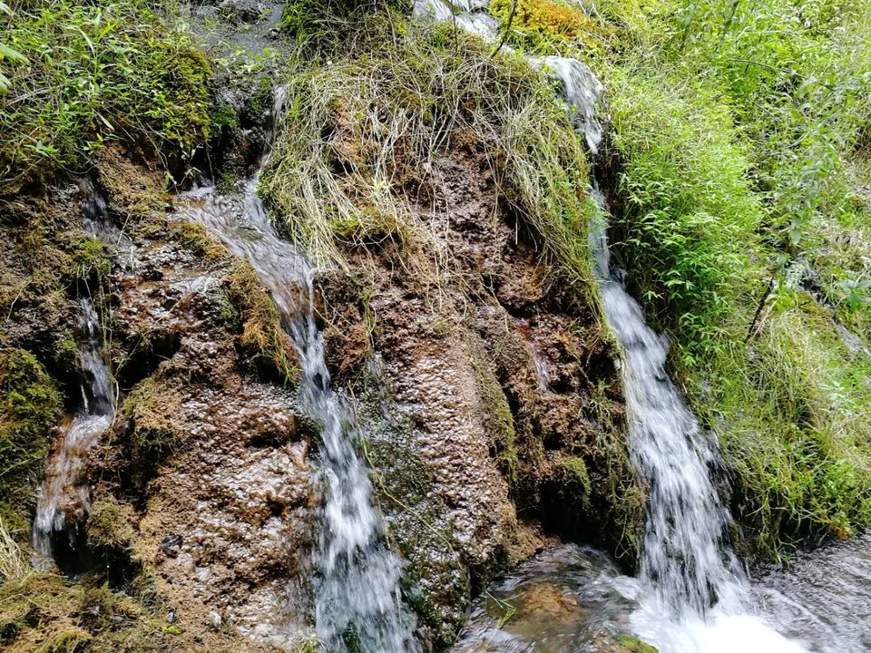 dDzzQZlec2fZlSMreWPVHVeLUybOmXPp2TWBGQ05cGuVFdY79H2mxw9iDs7zrjyC