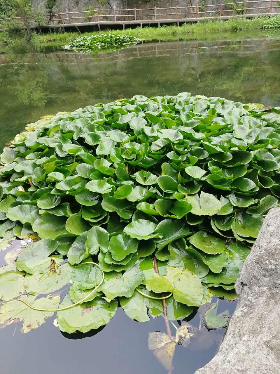 uOSC72j6pzCJwWx88iNYqbCXN_bnOFhxRPQ-DW2VWf-8PYqiXaBPqIiyhWlxhwNl