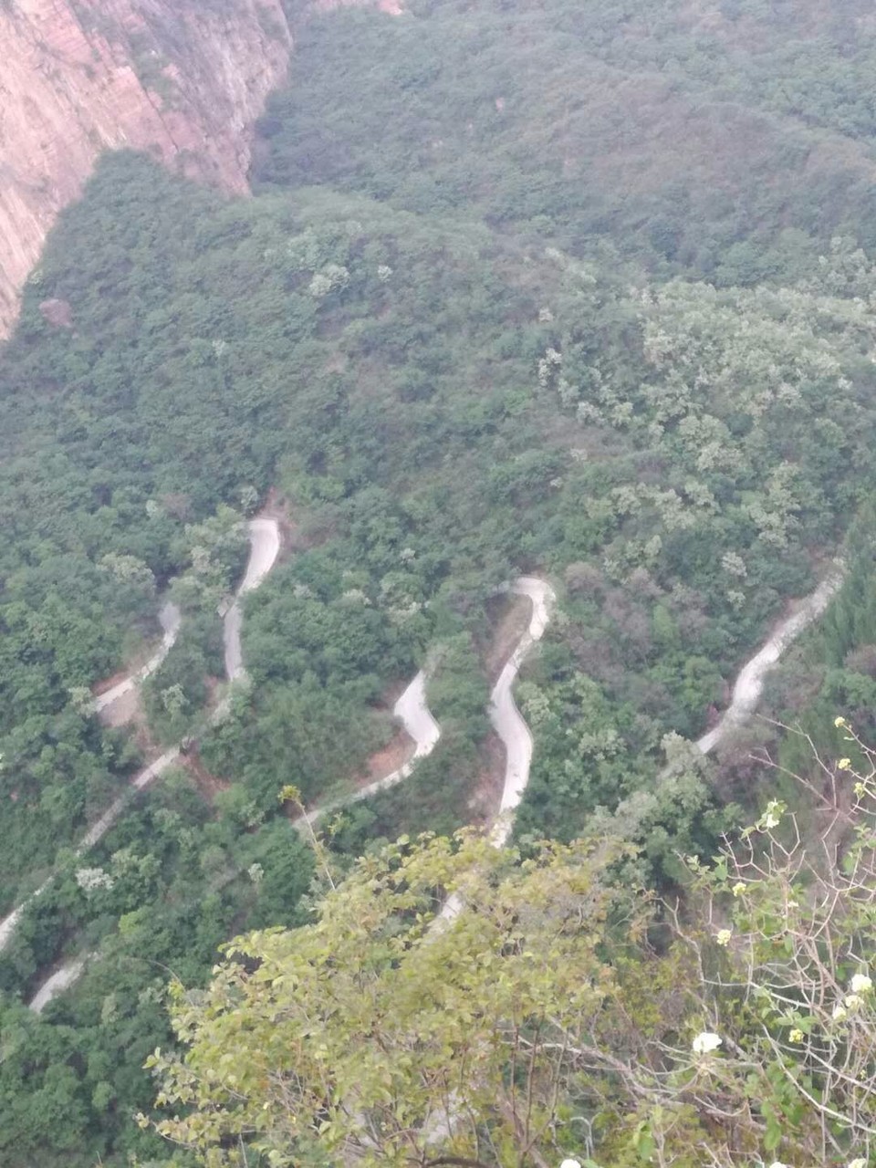 mmexport1525072981099