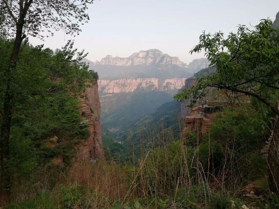 mmexport1525072802705