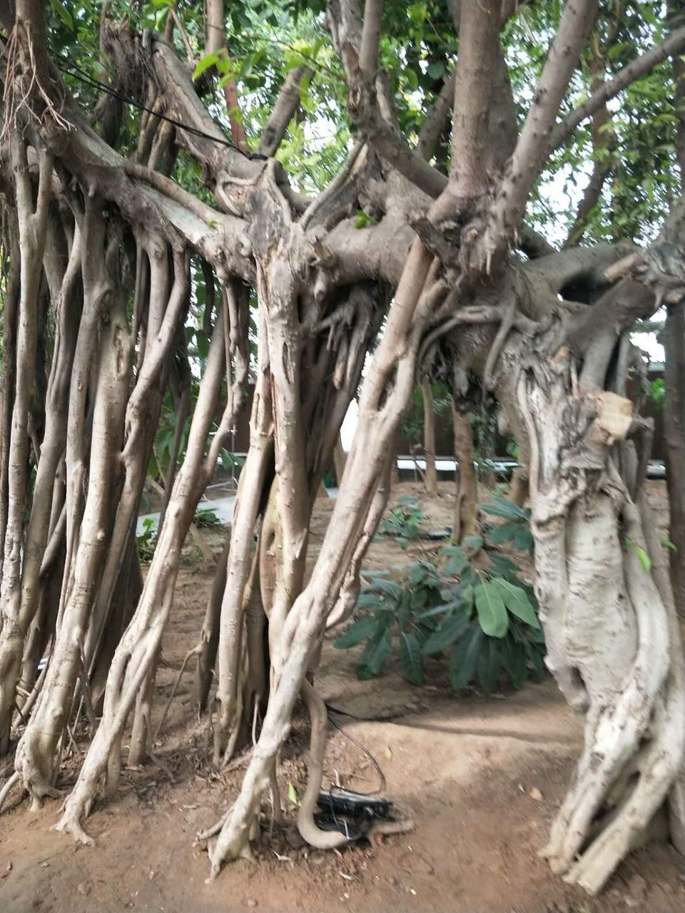 dUc0fo8KIVgKiCEJJ2NA4cLgRcJPmQ6Di2LuLWVOK5t8dildK2lYSytx3xDR8Jlh