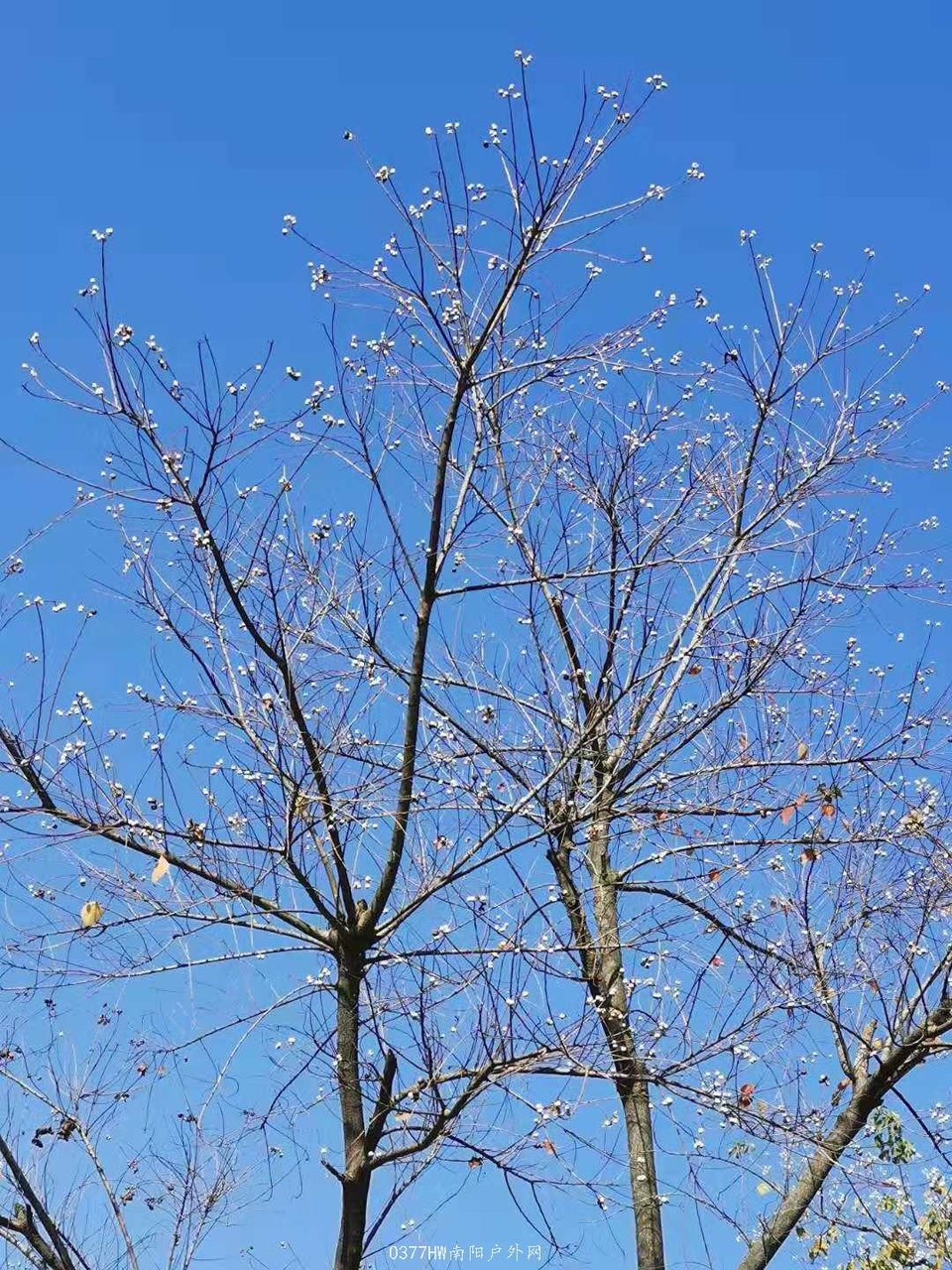 JuE6B1xX1T8AaN3NIDPsiLklI4fcuKqvka4mB34Bmdwhq761n6o6XBrzCQZ_0rhq