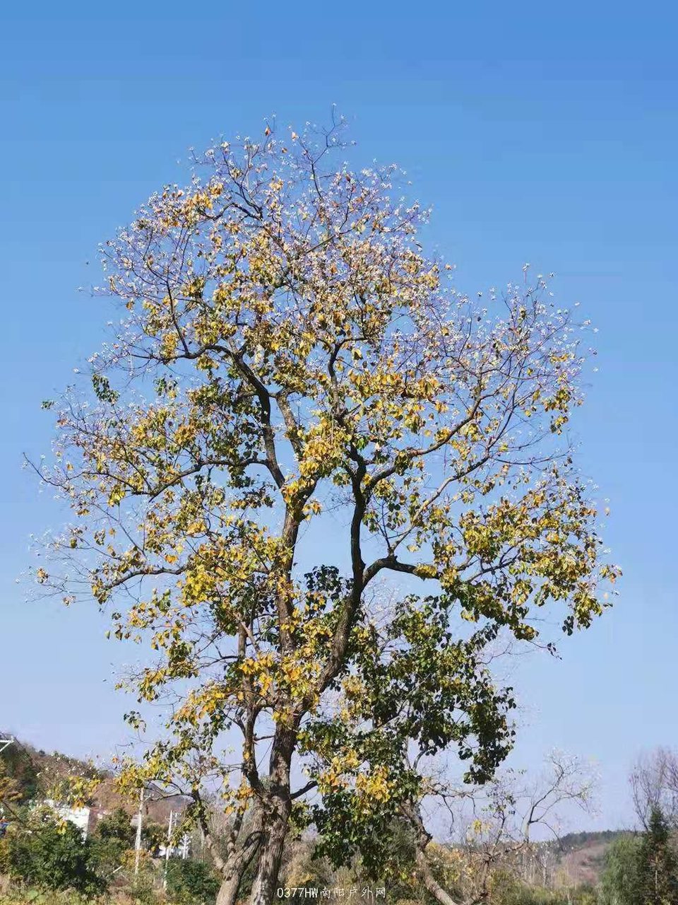 COcg6miZTGqmKfLnWvarKTRZXPCWiy0wkkXvQuh0INjb8Z7rhpyag8fB3HRpA9wV