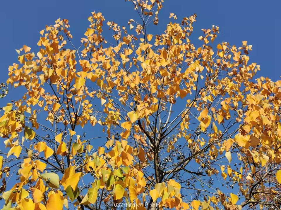 pEOKGV6L3VGVDCAT7CrXSNwKaiQ6IwxR4xmcxNKk9mRyuDhy-B23K-BIUAKLkZ4Y