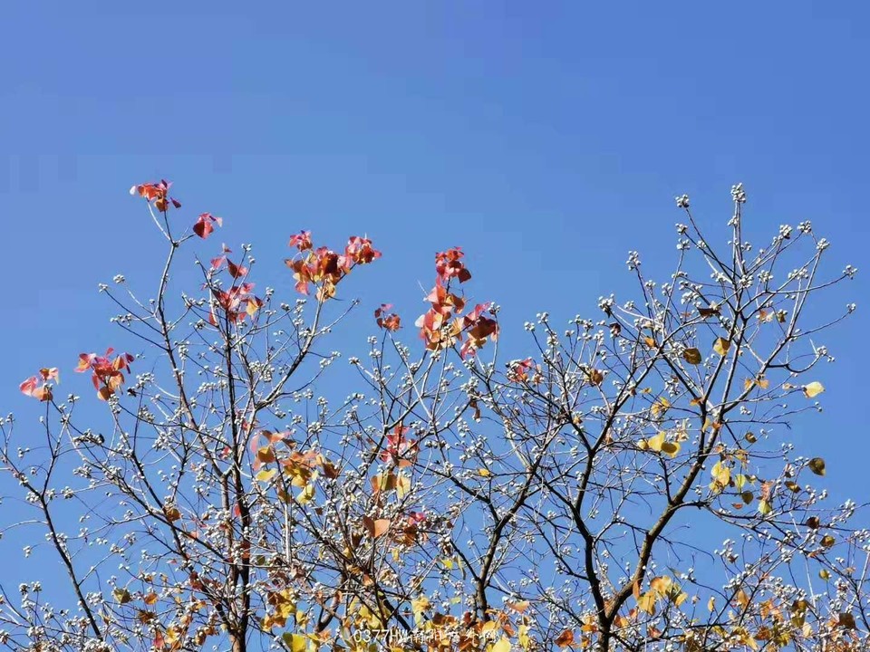 JZlhfFcuL0E2KcFvnouVquuJ5sOSReHhZMXgvumSwQbUSBObpYJ9O5VUAs9OKmNM