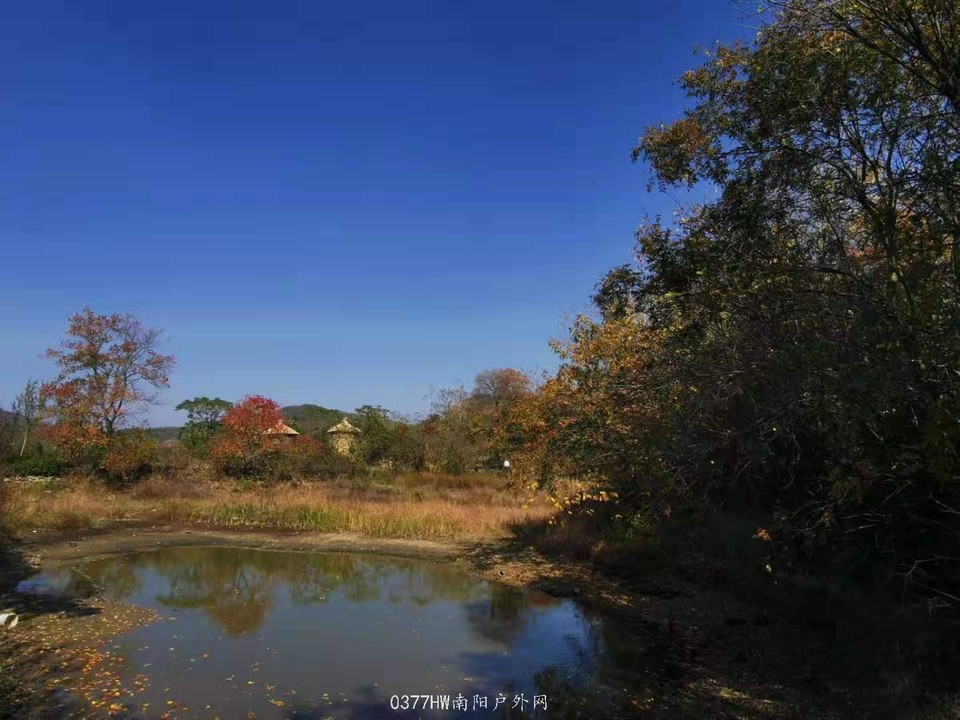 GVnYSlU13RZopYrL5EDAdvG52lSKffz7-zzLK8ySyx7GrY6AC0AaLJ5FPdu-f9_p