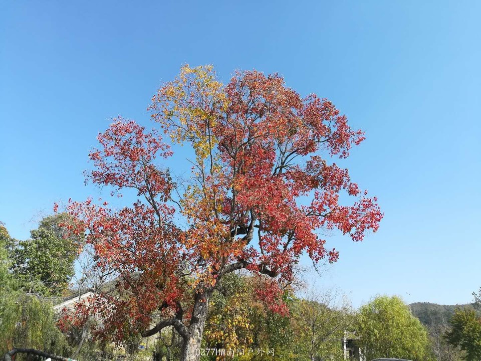 t28rVq7-GYRzxnEfvVRngau9U2r9onB5MFVrjR_Peo6fuqgGXlN9tJ7viC0c6QlF