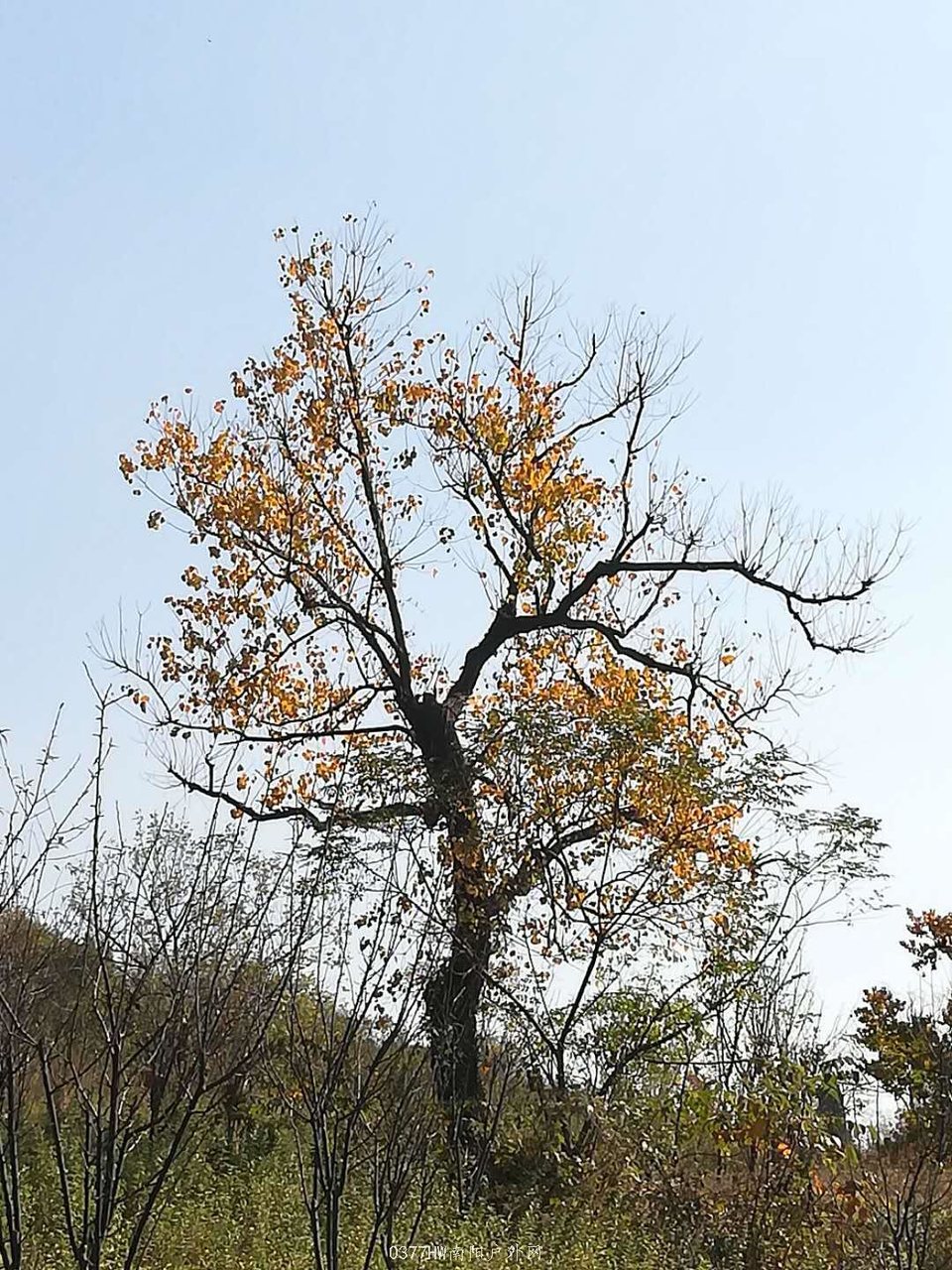 RB0Be0hXVpd-7070RE7HIsEwo8hArL-6LOex8YYDfRgjtdHTeJIvqrX_hbQJzHDm