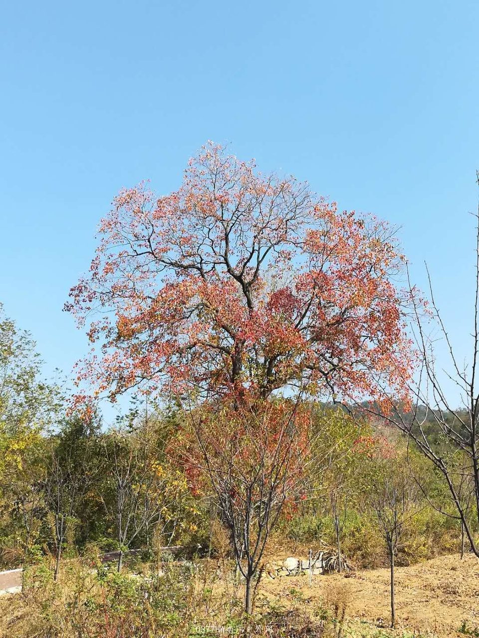 F0q5HaZfnJ-HognYSvOQY6Wq3QpLe3vHtxltp5xoPweX2AdkCQdKEsOjYEQgwaaw