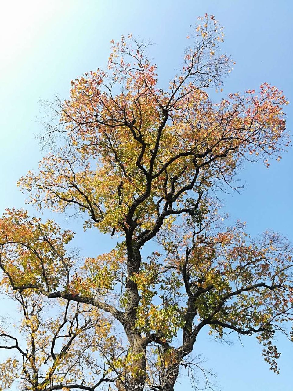 IleHwH80cuwSYa9eS7Q5FE8jcEA6qfrAeVlM_D5leYJi-lWyTyNy9R0bseUyjeiq