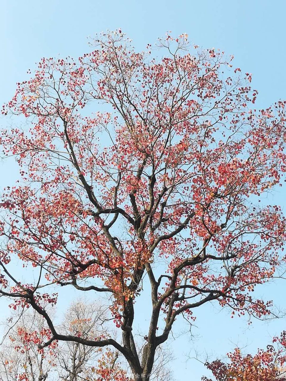 D3aOnteEUiWGMXyT8_LrPftkPRIq_4j-aCFSUZG4V7NbHFFYl1ijsF_UxouFUbdE