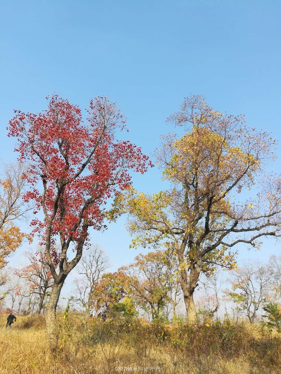 XliOYf9869f_7kurMboIMMUz8-BwEm-xmOmUMelxJCJB215fsxMmDVhGibnia6_n