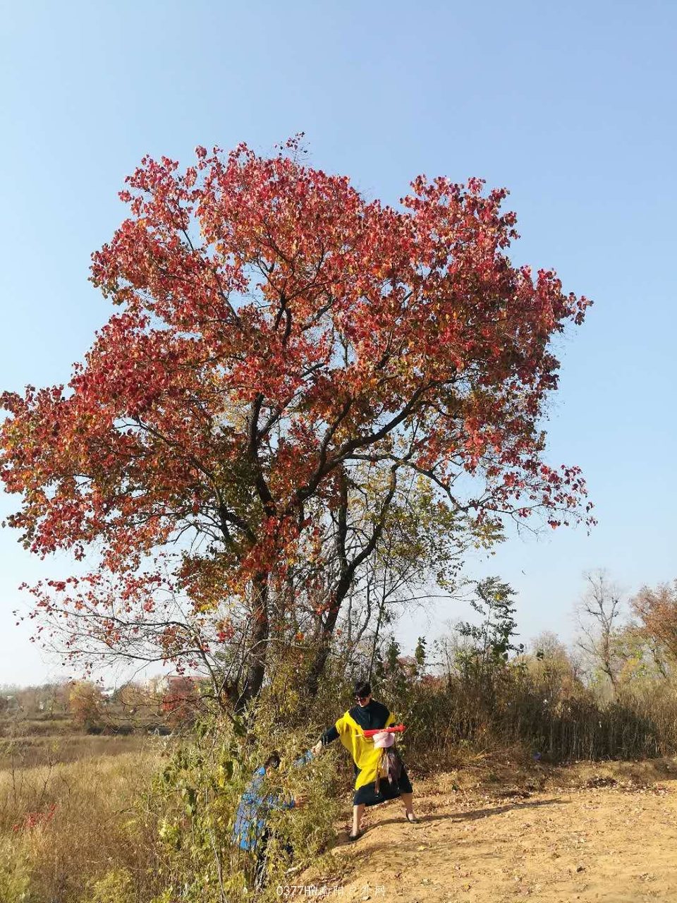 0YECeR58Xf3aWcx3EYaRMprE83JTP6af7_zOF0os6wQxtcQXptRTxqhAFBTAVXOU