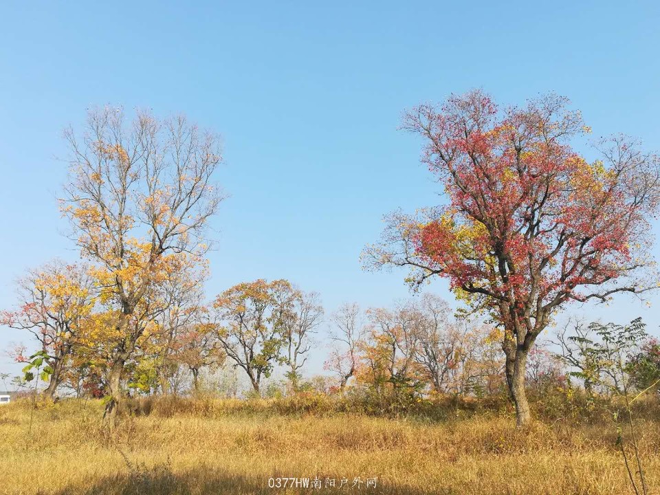 1baJB5u5oZ8x1dqbnbmzDB_Kmg-cXBIA8sOIPJ1DFyWeqD3DDccoY57cAxDoEiwc