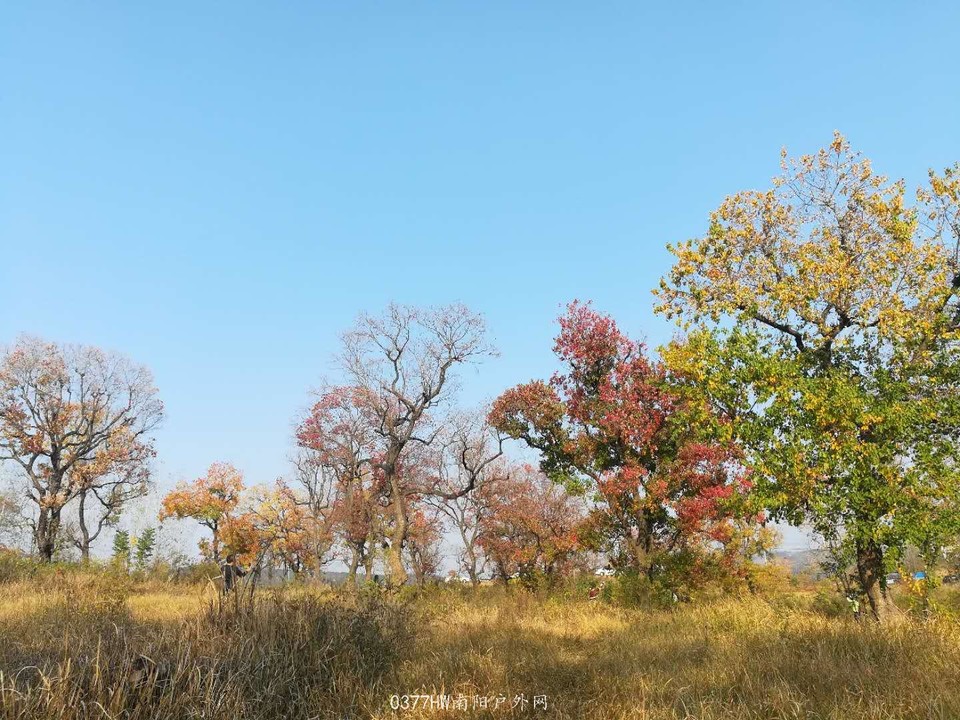 aqw3nt0KJgXqhMsDmGyCEmJ6GX8xl4wwrZq5kbNaGVjvE6diBsvGJYauSfzvVRb2