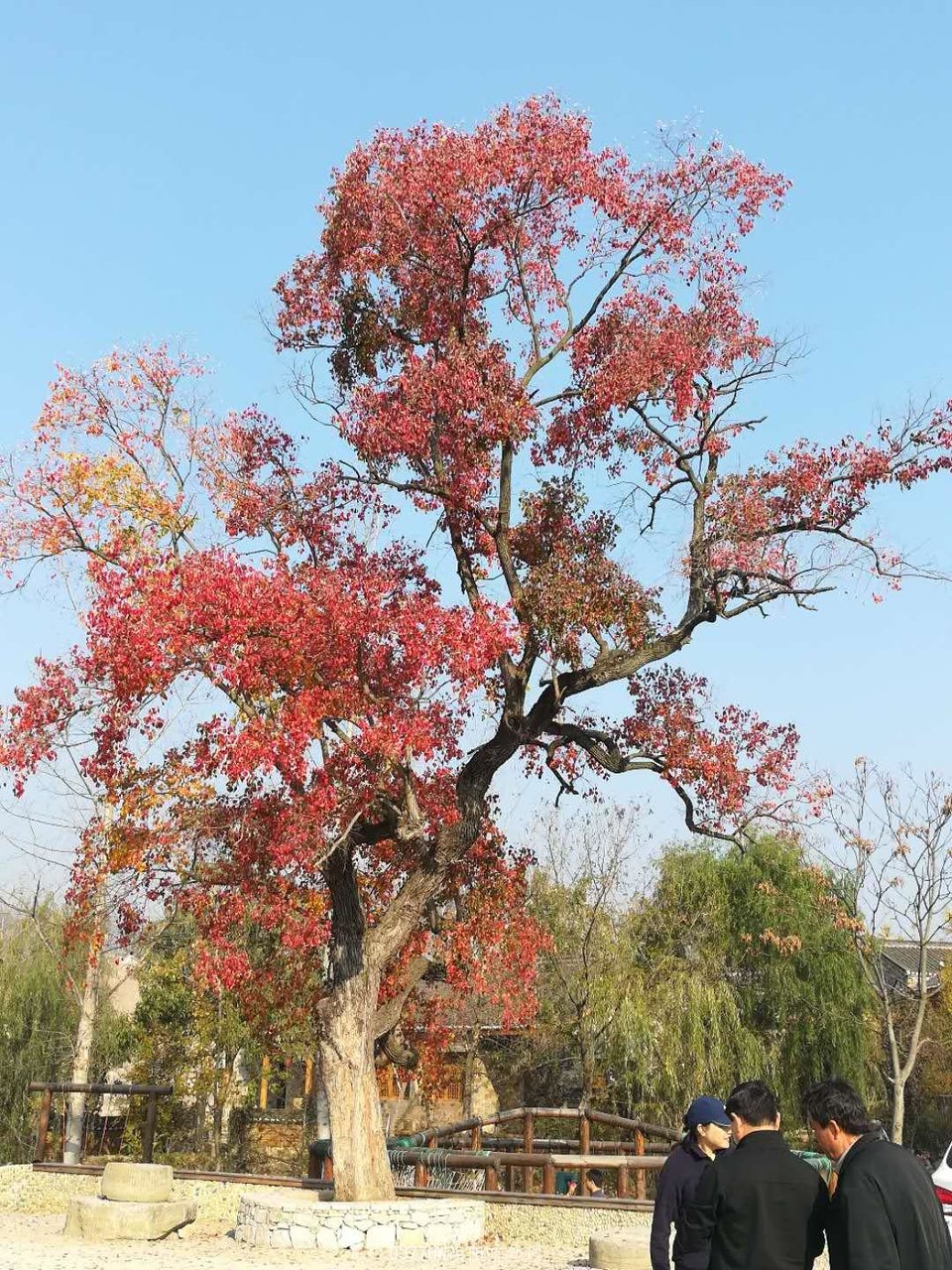 0Uu1j7oTdq17Xpt-v386B_MK9cfkfFdxEff3HwQTpv6UIcaBPo0otvy9ACQjDO2t