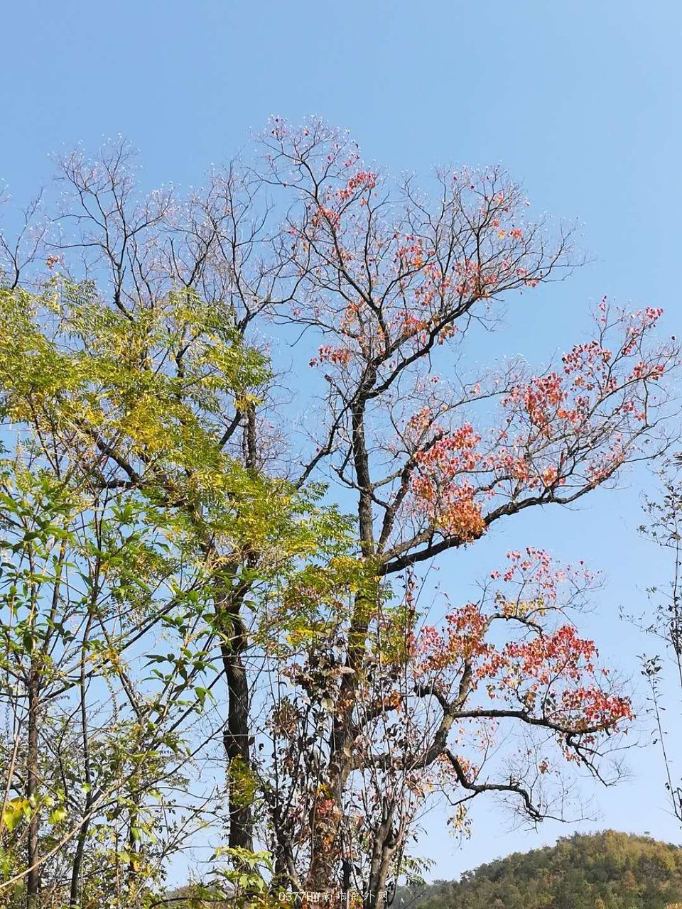 DyMI-inDLNwVYM7QuT0n64Tzm7yZqQ1_De_qnyv7Zrcwv6Mu_tkilVyNrHh867IN