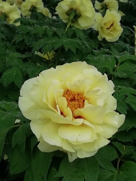 FGZxbqte4nztA8AG5ZW1M6pmeihalMXzFXu6JTJl7QdteySgCJjEbvo7VUL_i-vO