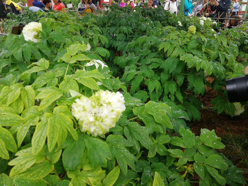 oGC0jwL4Ljzz4KrCShwQZcYS_9817IJKfTNit0hwf62SrUTIVzdCSF431jeFEAwm