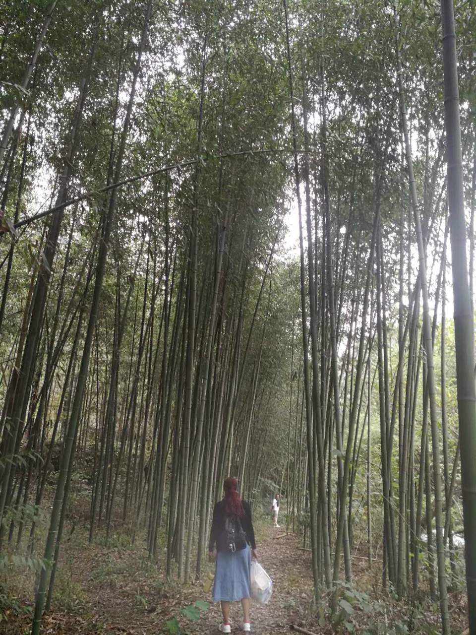 GRIDd16bJ6YM7r_hI__U03uVq9NSCDMfRRUScjTfxPUm6p9W7SBKOIbj6YQz80Cj