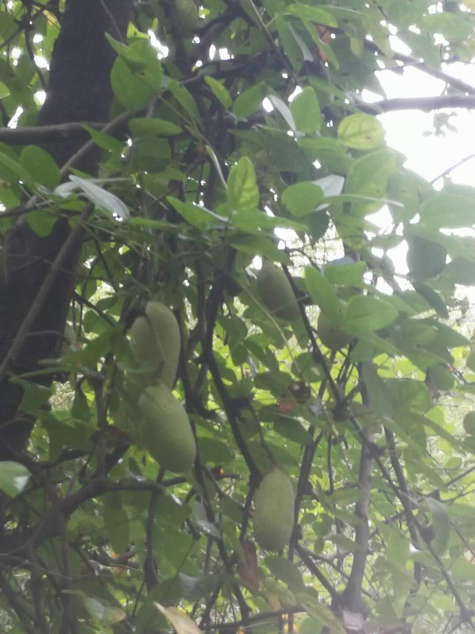 k7QZ1DZPO_s8Zd_gy9yWQQG6G7AW8gFrZOk11toNJX3VvEFa4D3MwS2Psqak9y1e