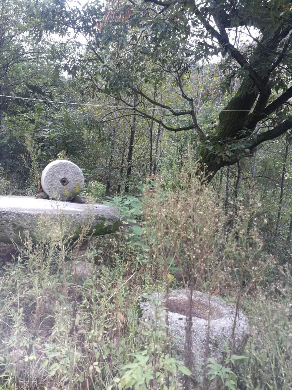 XliOYf9869f_7kurMboIML5GcalQS2Aqof-SbY41M3XPao-i218I8QVX5TA2C4Lf