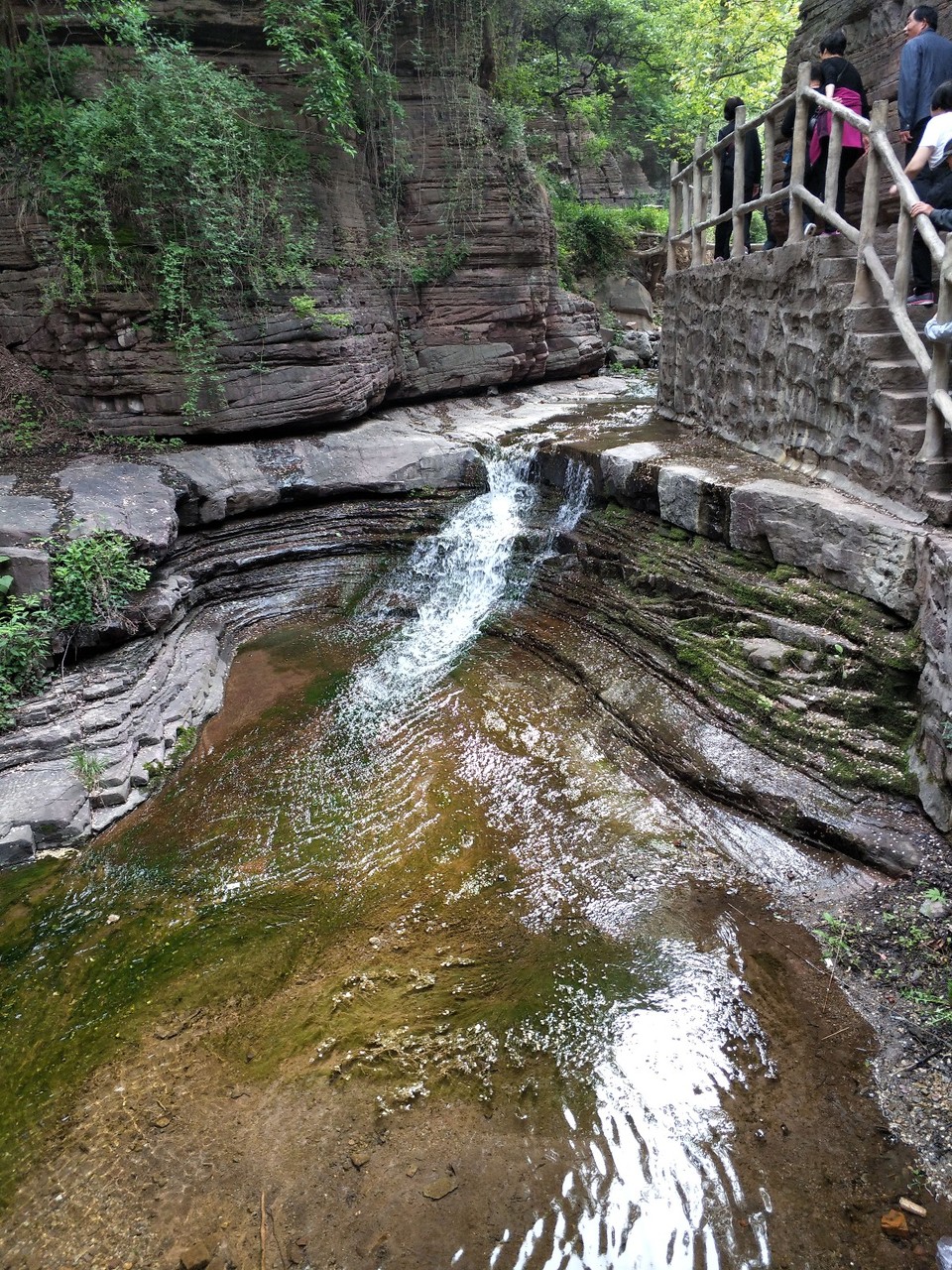 IMG_20180506_090513_Burst01