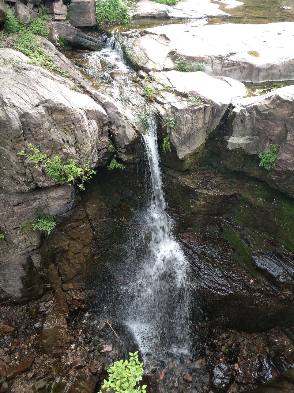 IMG_20180506_090757_Burst01