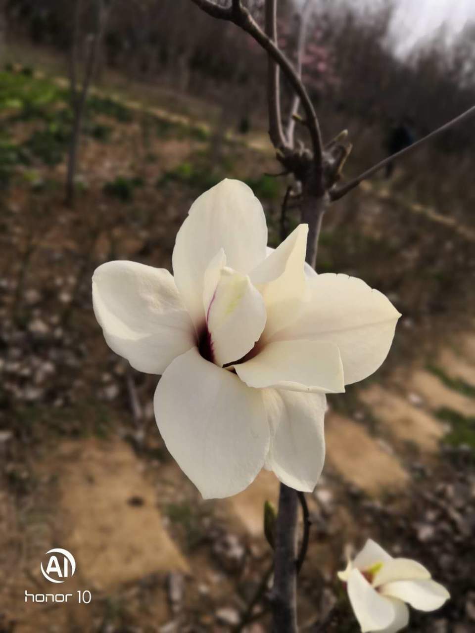 2H-8GYhoSiJXT8l0daY3JjY-UusqJdX_FeSGh6DF7I-hMa3NAPsiha6b-4Owdcbn