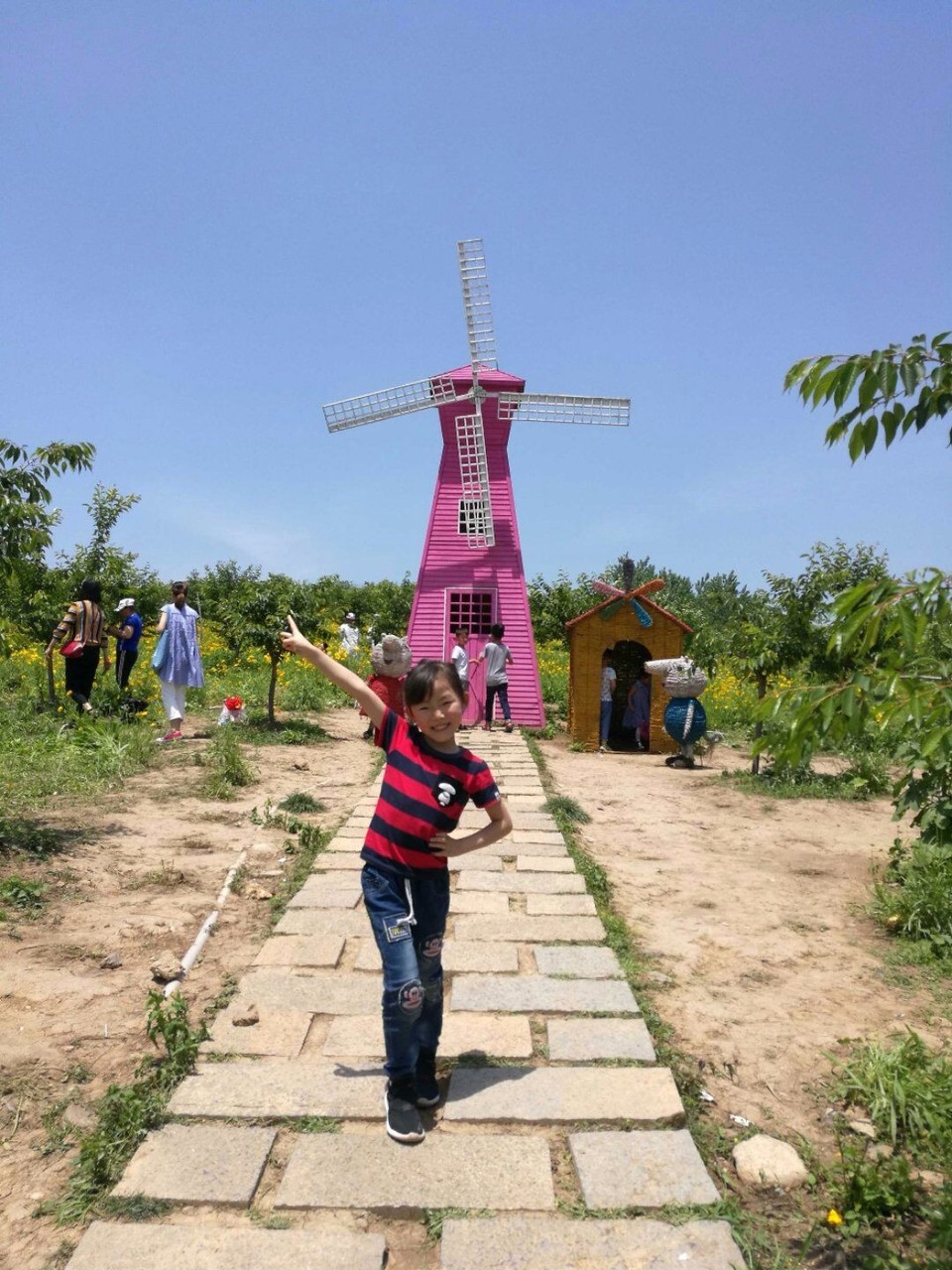 mmexport1526298000506