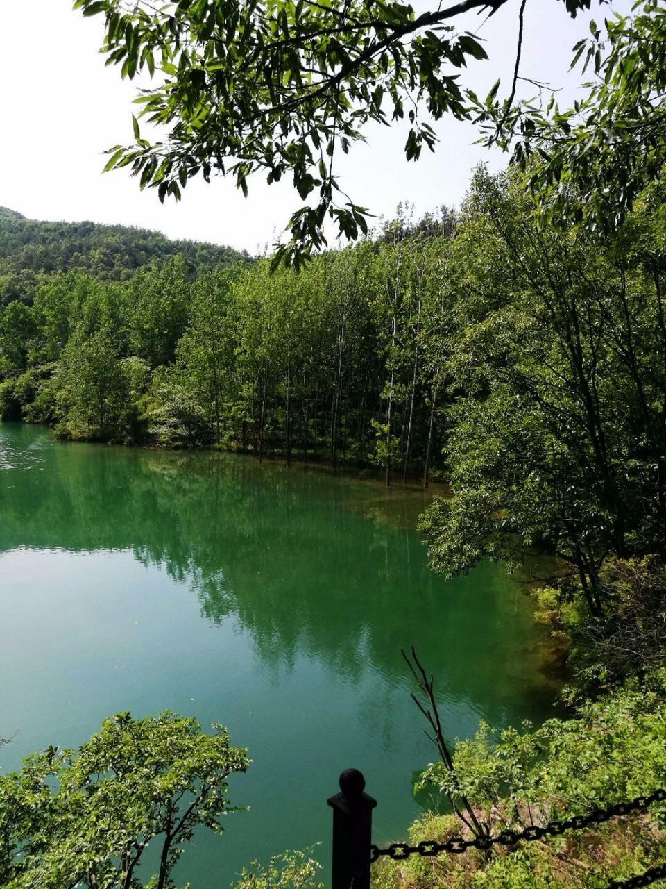 mmexport1526297865820