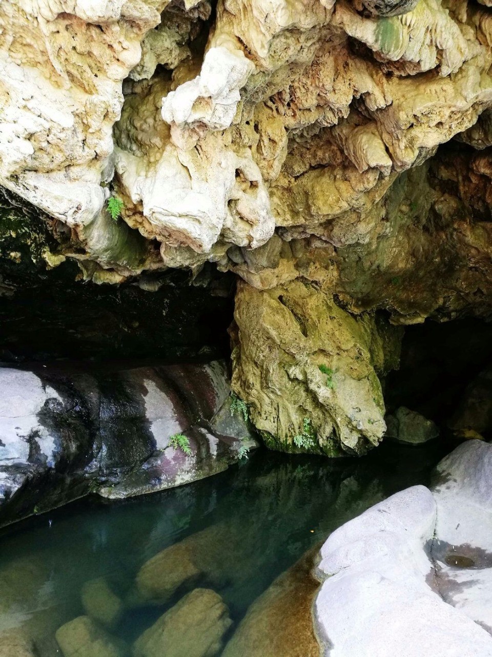 mmexport1526297970169