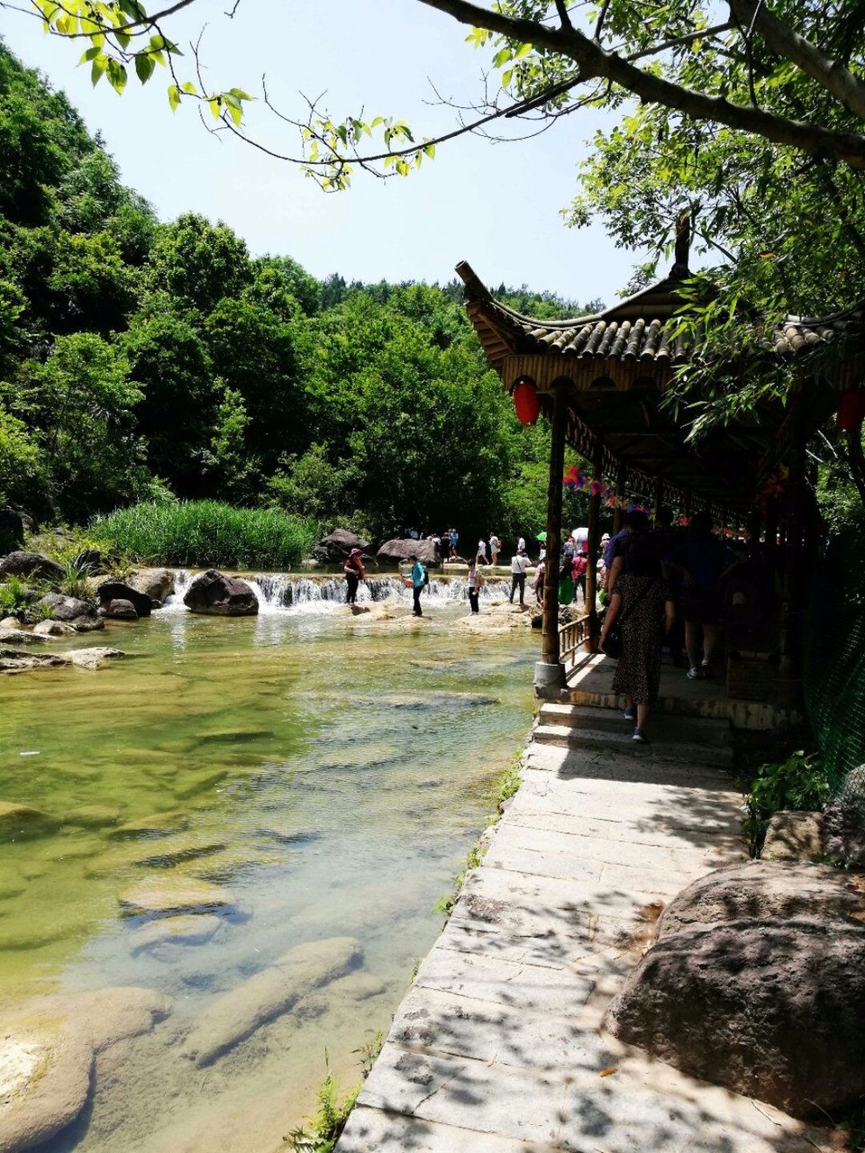 mmexport1526297882237