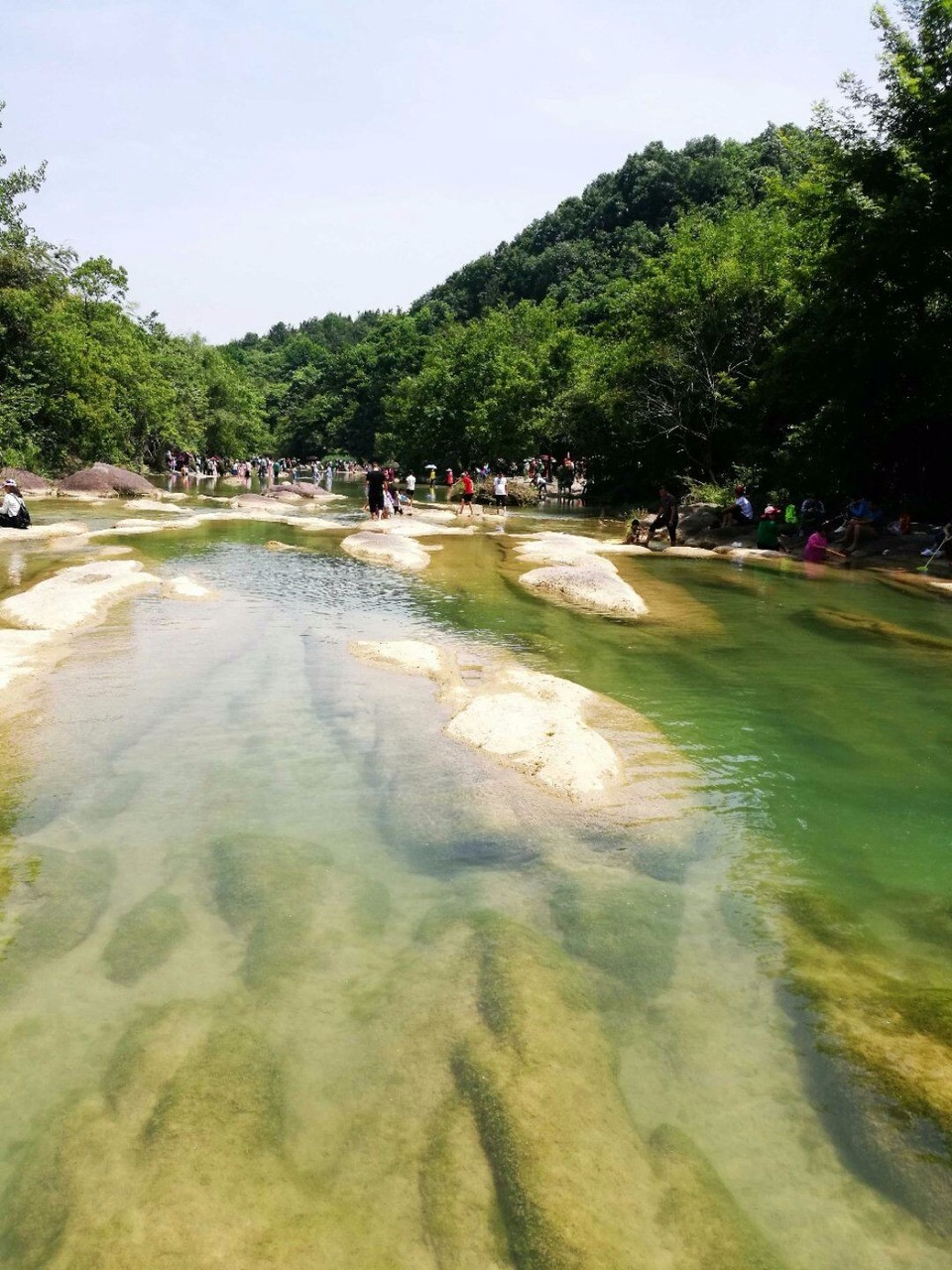 mmexport1526297955040