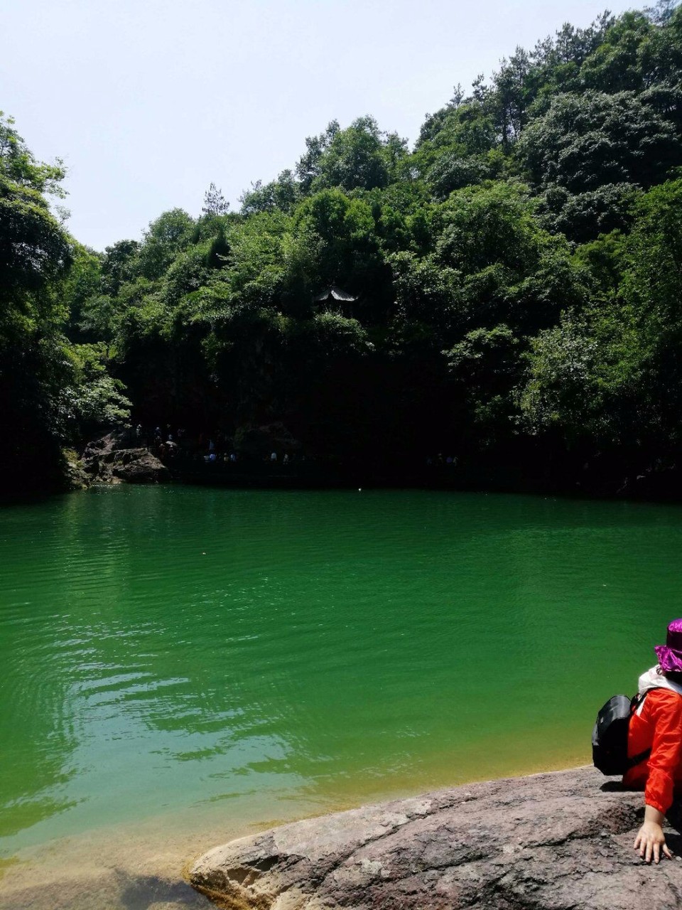 mmexport1526297930961