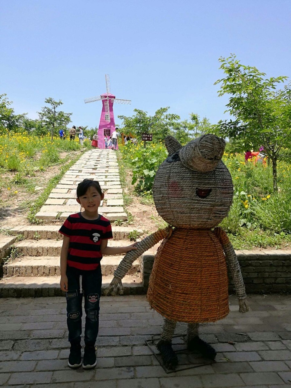 mmexport1526297680940