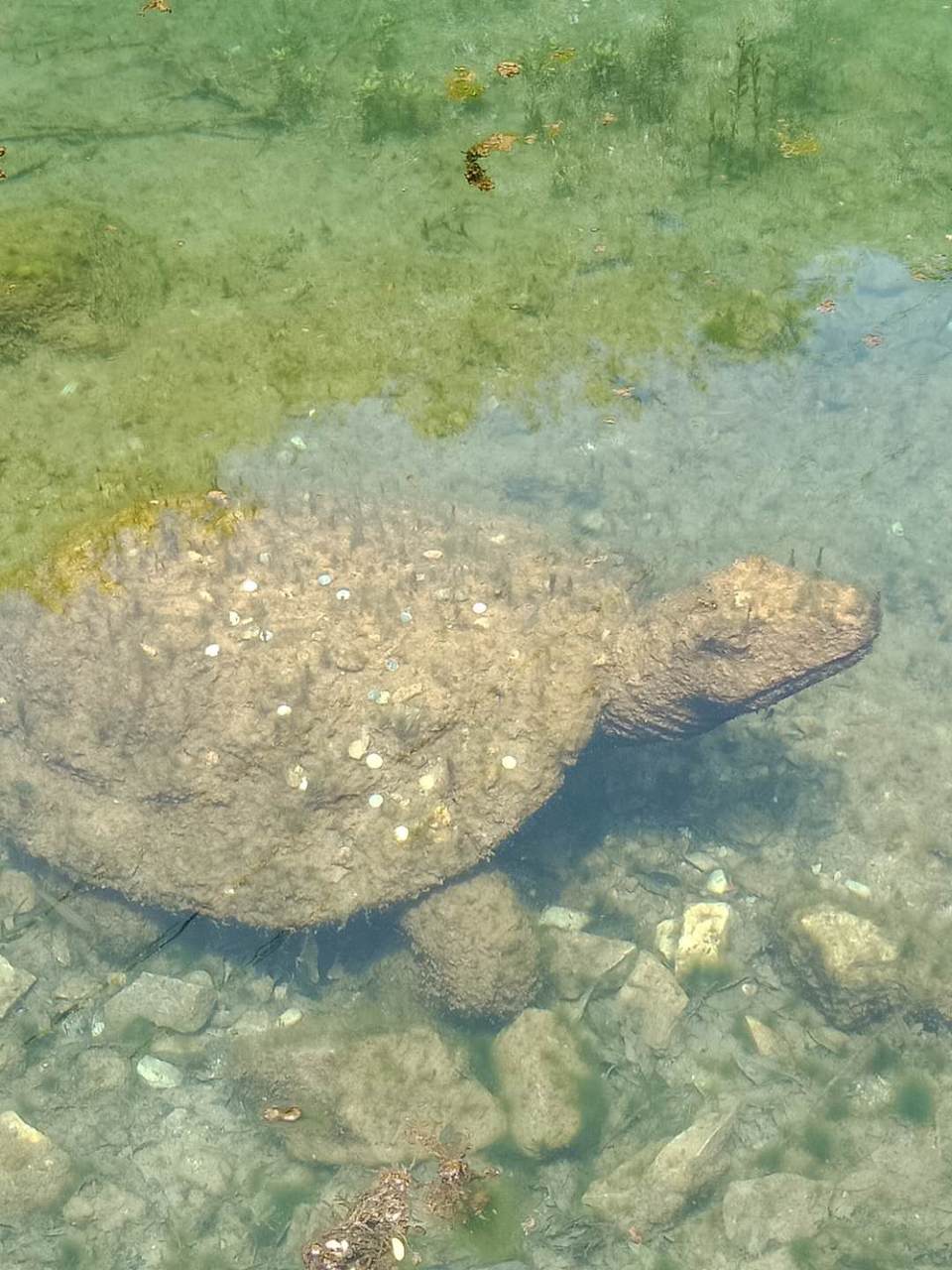 -AgdeNBrEVDBxAjFjkWiS3EE6KnR5OUMKH_U3RliHOyYzsEcIknLmSBebqk70QLj