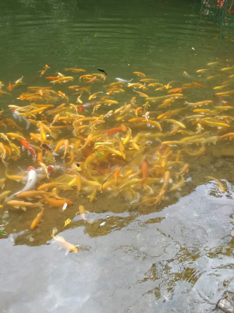 SF5VtRGU4h-kMAPnW7sltA5E0QBgJnkNFZ1Z7JAA8V-7jUOcgV6qms2YIUc6Un6J