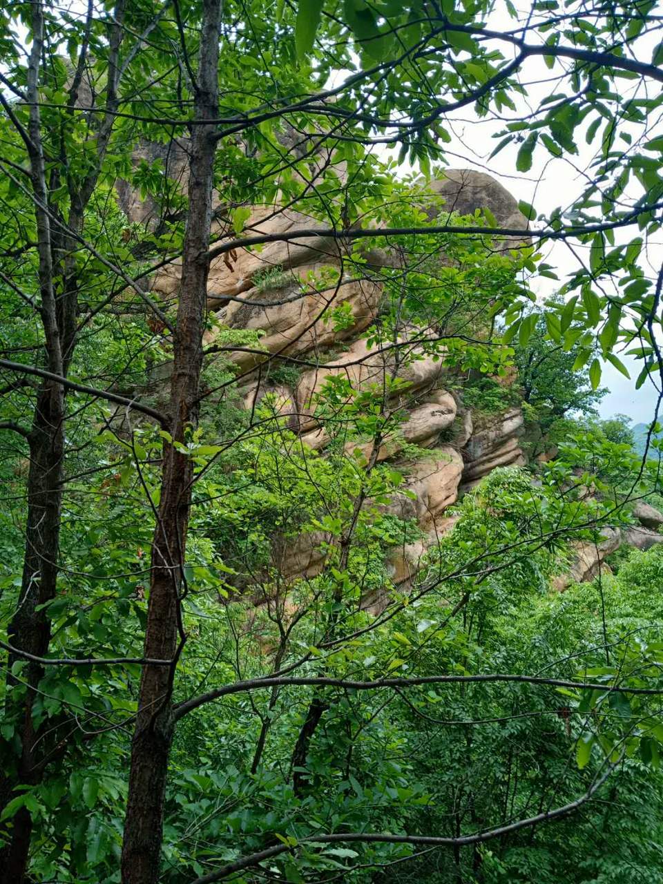 8kpjR8jP-jbKuW8bCuDyMrr9y2t6j0b7Rtor1_F8ioMGyEhEwz7I8x2gL_5rkPSb