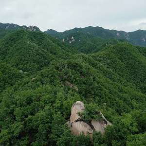 2fVIqfQkk4Z-4-BnFXRdmr1TCAr-ygSgR5MU1sQm9_v58rzYA8JkRGcHBoUgyb1L