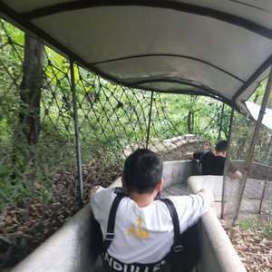 C1uPYhwy5HgvLeD8ca01Z2RldAvBcsxb2_PErsxLwM1jnl2yIeF6iZj-uZgy6bEj