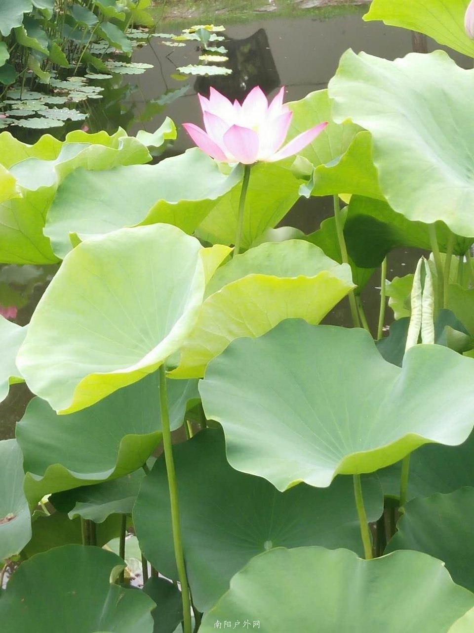 Elk3cpPLsj1jp51nnkfBROuGXB3OAKDiNPmaFGrGrs_6NaSit8_rPinWHN_n2YGT