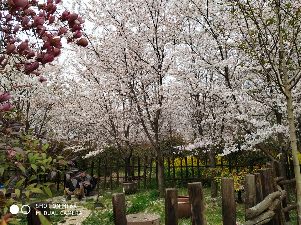 0YWPOF6Urp43V68U-WzhwAUxzNwM54wqiyLBZBlCDep-wnyU-A29ZEcQIZV6zu9o