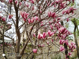 -49f2grn7N-qXYChuFxf7c1Z5eylYII-FfO40j9fDzKBI1myoy7EfB0fK_UONnTI