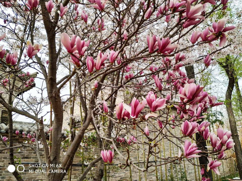 -49f2grn7N-qXYChuFxf7c1Z5eylYII-FfO40j9fDzKBI1myoy7EfB0fK_UONnTI