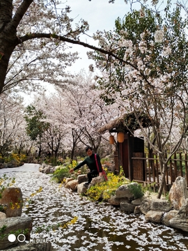 gi8h5F6mpa8Ivn7uXyGJOwEo-tkewTaD_s3X-hdG-9WwQJo5lk6V6B-UpWObMGwm